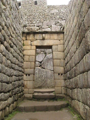[IMG_2110800x6002.jpg]