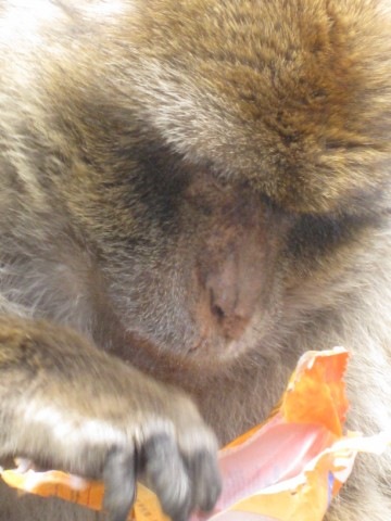 [IMG_0238640x4803.jpg]