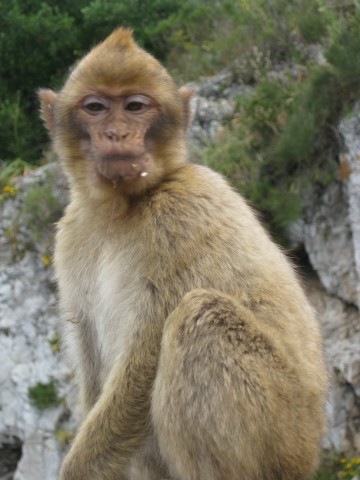 [IMG_0228640x4803.jpg]