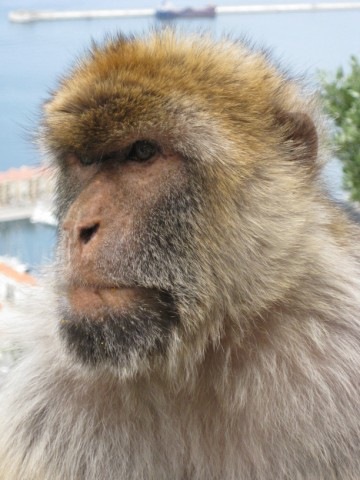 [IMG_0241640x4803.jpg]