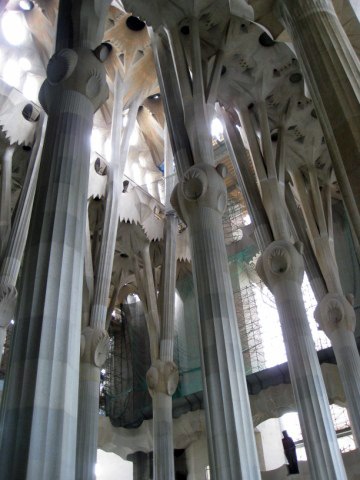 [IMG_0279640x4804.jpg]