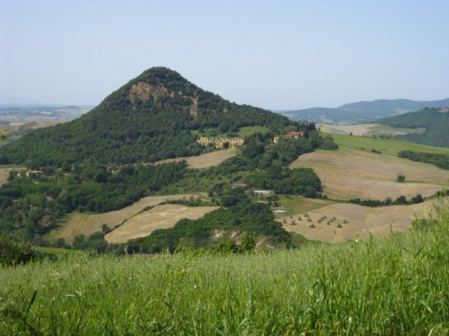[IMG_1863640x4801.jpg]