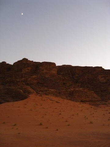 [IMG_3673640x4803.jpg]