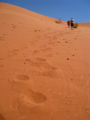 [IMG_3811640x4803.jpg]