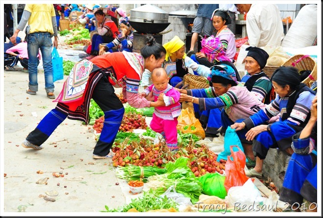 [DSC_4130_thumb26.jpg]