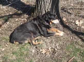 sammy11