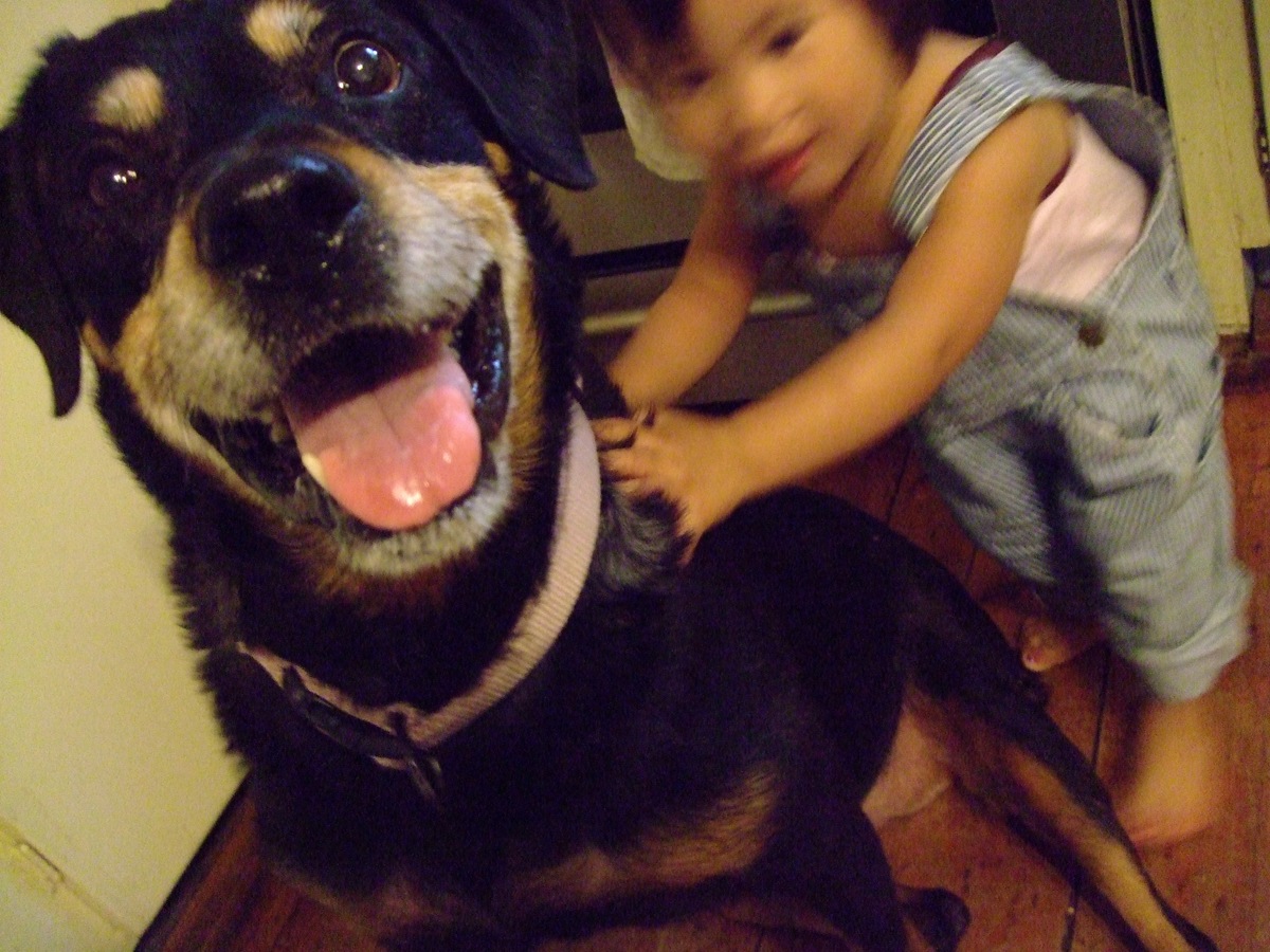 [sammy6[2].jpg]