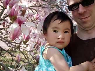 magnolia