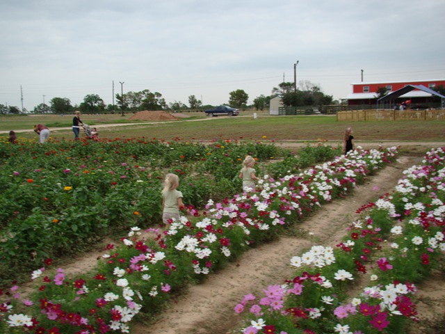 [DSC03429[2].jpg]
