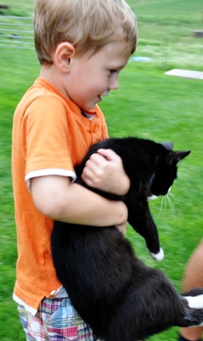 [that kitty again[3].jpg]