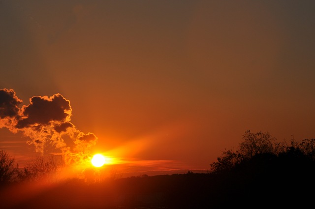 [sunset[2].jpg]