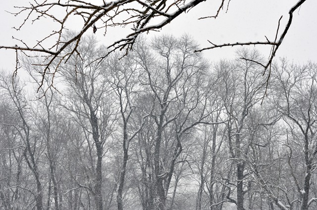 snow 2 snow 2