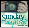 sunday snapshot