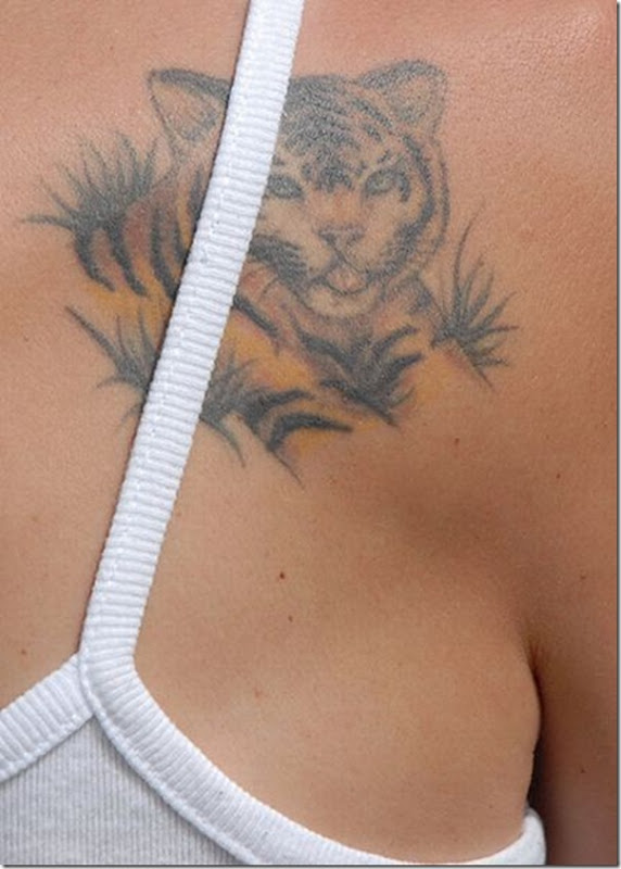 Tatuagem de gatos (4)