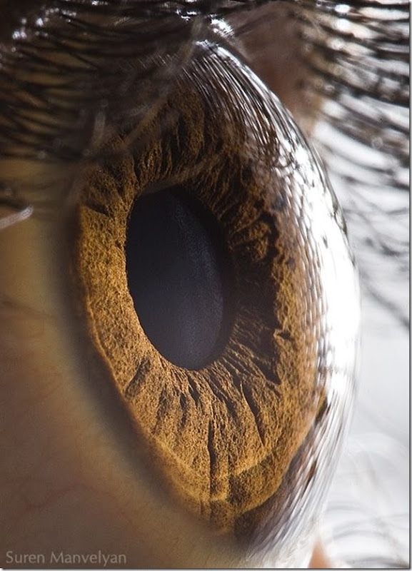 Fotos macro de olhos humanos