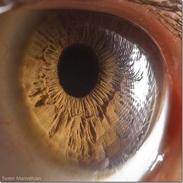 Fotos macro de olhos humanos (9)