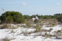 02_2008 026.jpg