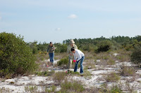 02_2008 028.jpg