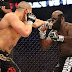 mma_a_slice02_300.jpg