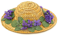 [image[182].png]