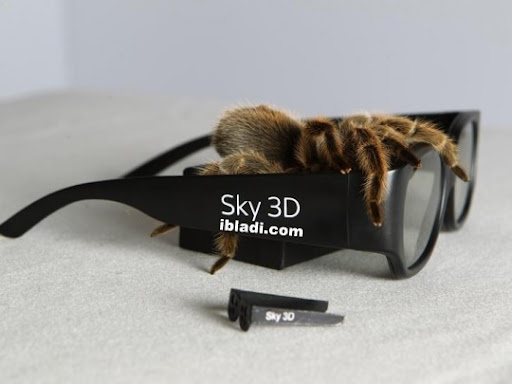 Sky Using 3D 