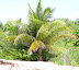 Maadhoo Island