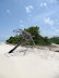 Theluveliga Island