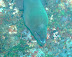 Moray Fish Head Dive