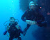 Chris and Neil Kohlu Keli dive