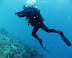 Neil Ranikan dive. Courtesy of Chris Colyer
