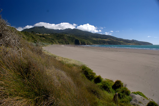 raglan