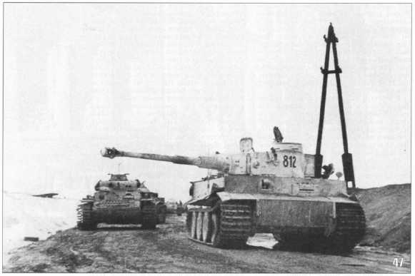 Tiger_Charkow-43.jpg