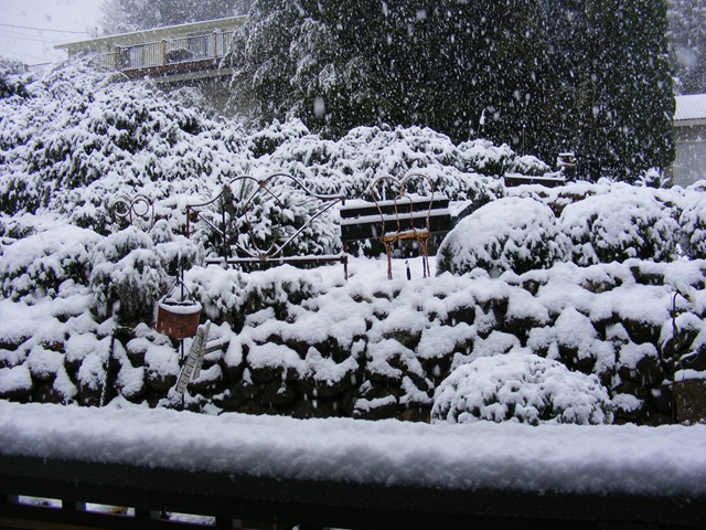 [Spring Snow[4].jpg]