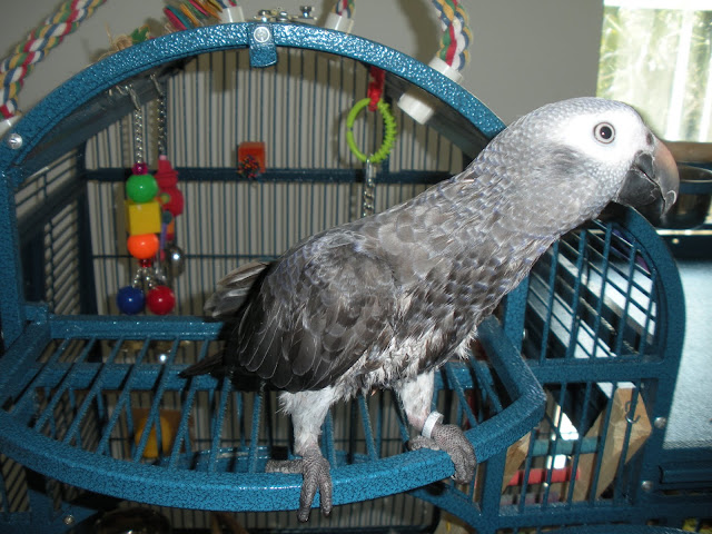 DSCN1540.JPG