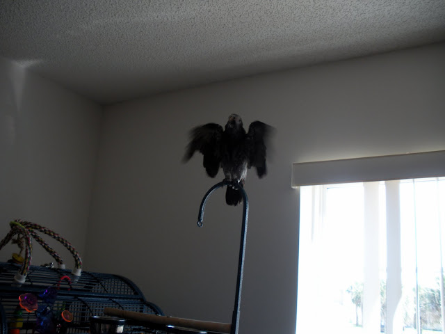 DSCN1525.JPG