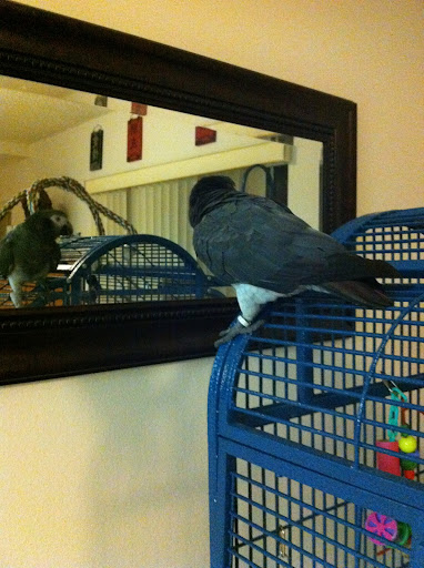 photo%204.JPG