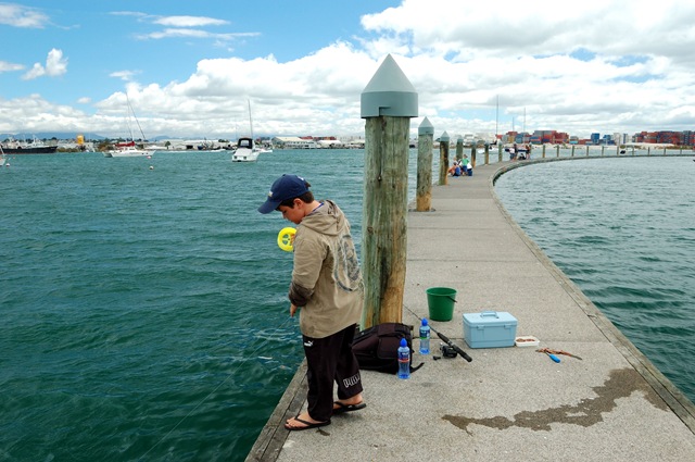 [DSC_6653[2].jpg]
