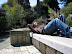 Chillin' in the San Francisco botanical garden.