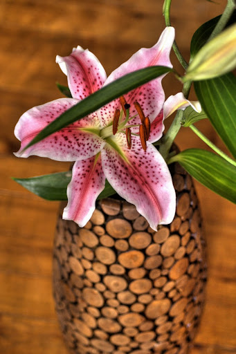 Foto Blume IMG_7307_8_9 copy.jpg