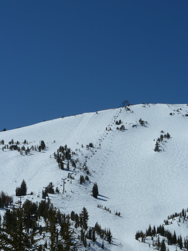 P1000164.JPG