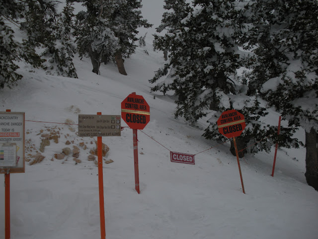 DSCN0127.JPG