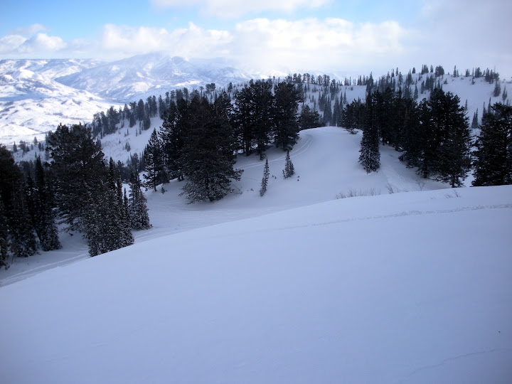 DSCN0222.JPG