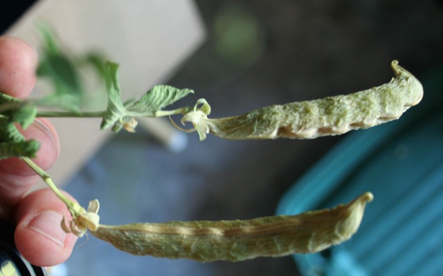 [012[4].jpg]