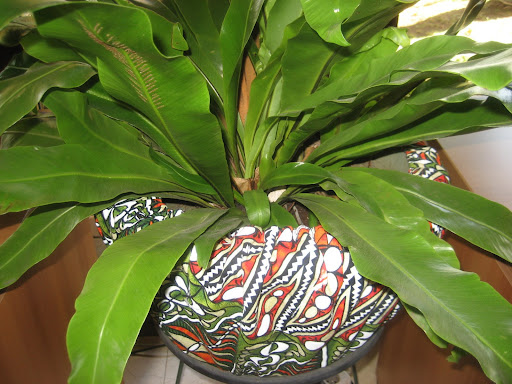 bonne terre duvet covernock off