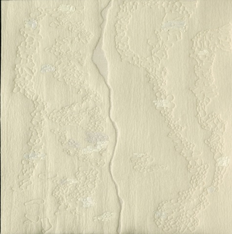 [howdeshell_geomorphology_web[3].jpg]
