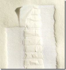 howdeshell_spine4_detail_blog