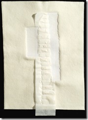 howdeshell_spine4_blog