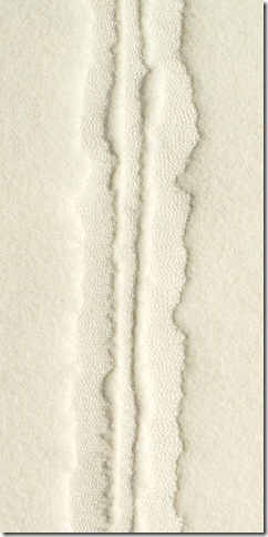 howdeshell_spine2_detail_blog
