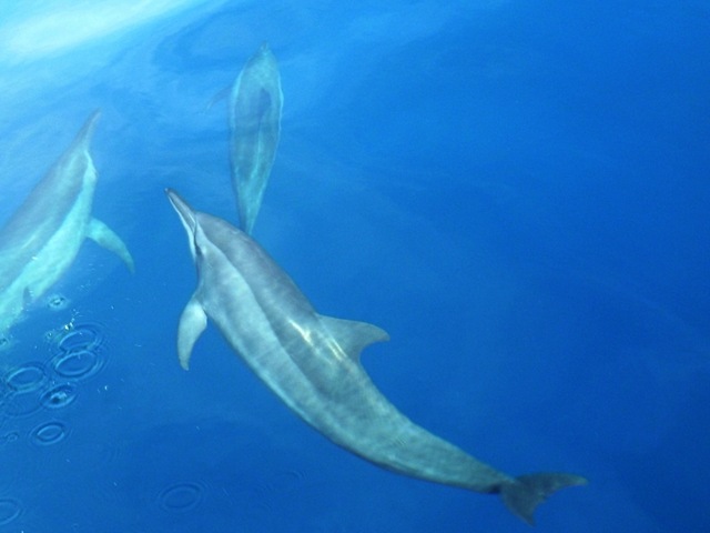 [P10002152.jpg]