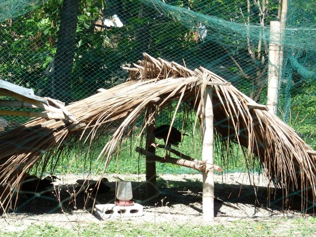 [P1000134[2].jpg]